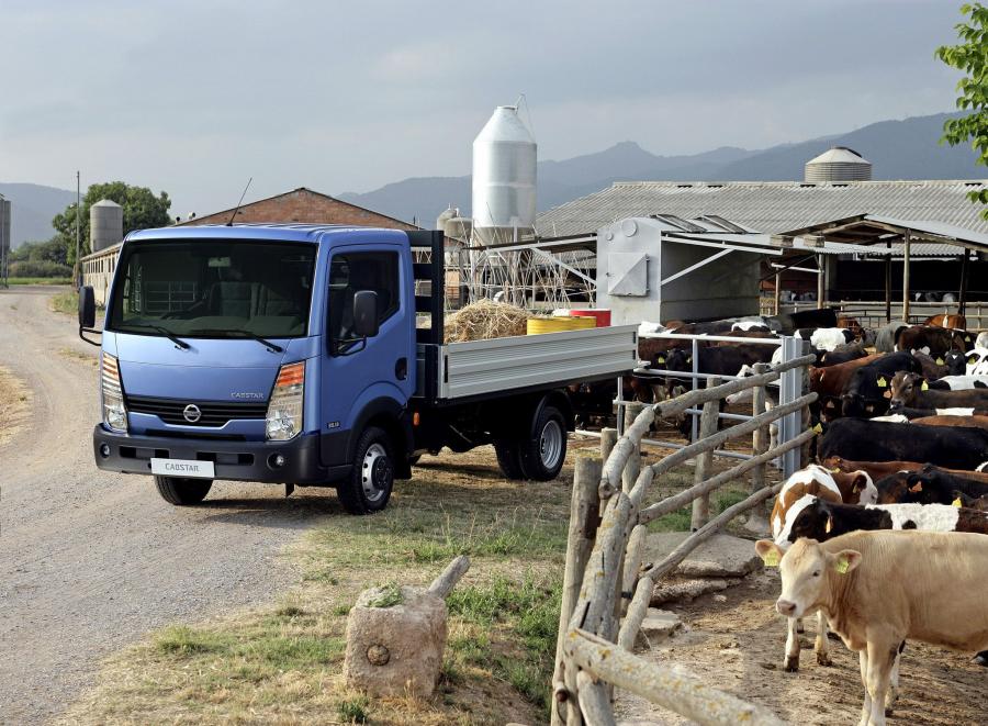  Nissan Cabstar 2006 года  (фото 8 из 13)